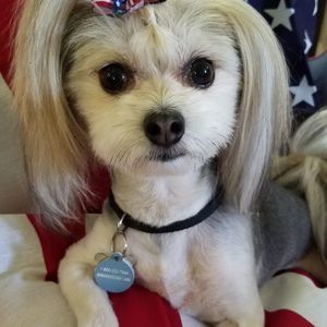 Meet your Posher, Monica